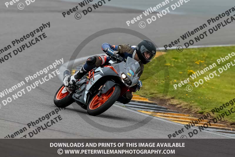 PJ Motorsport 2019;anglesey no limits trackday;anglesey photographs;anglesey trackday photographs;enduro digital images;event digital images;eventdigitalimages;no limits trackdays;peter wileman photography;racing digital images;trac mon;trackday digital images;trackday photos;ty croes